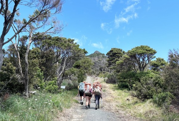 Adventure Specialties trust, three girls hike up a hill on a sunny day carrying tramping bags. Track surrounded by native trees.