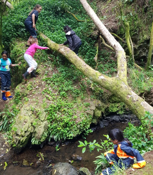 Five girls who are participants in the Nature School activity climb up a hill and around a fallen tree in the native bush.
