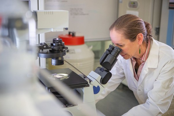 A woman sits in a scientific lab looking through a microscope.
